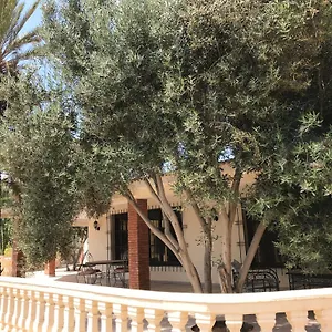  Villa Tiguimi Vacances - Oasis Villas, Cadre Naturel Et Vue Montagne Maroc